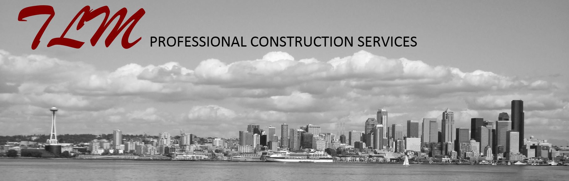 TLM Professional Construction Services
